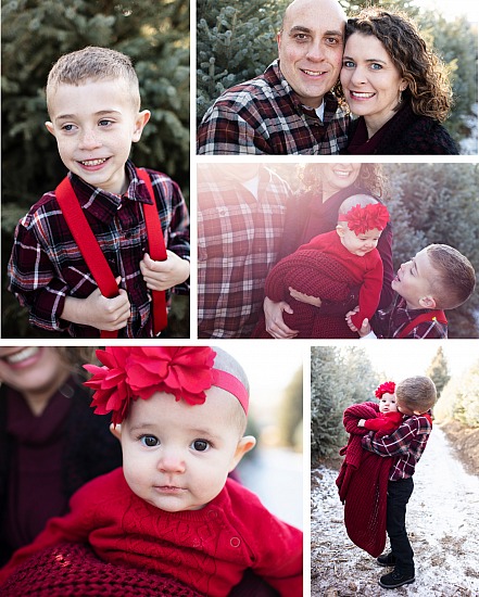 Holiday Minis : Tree Farm